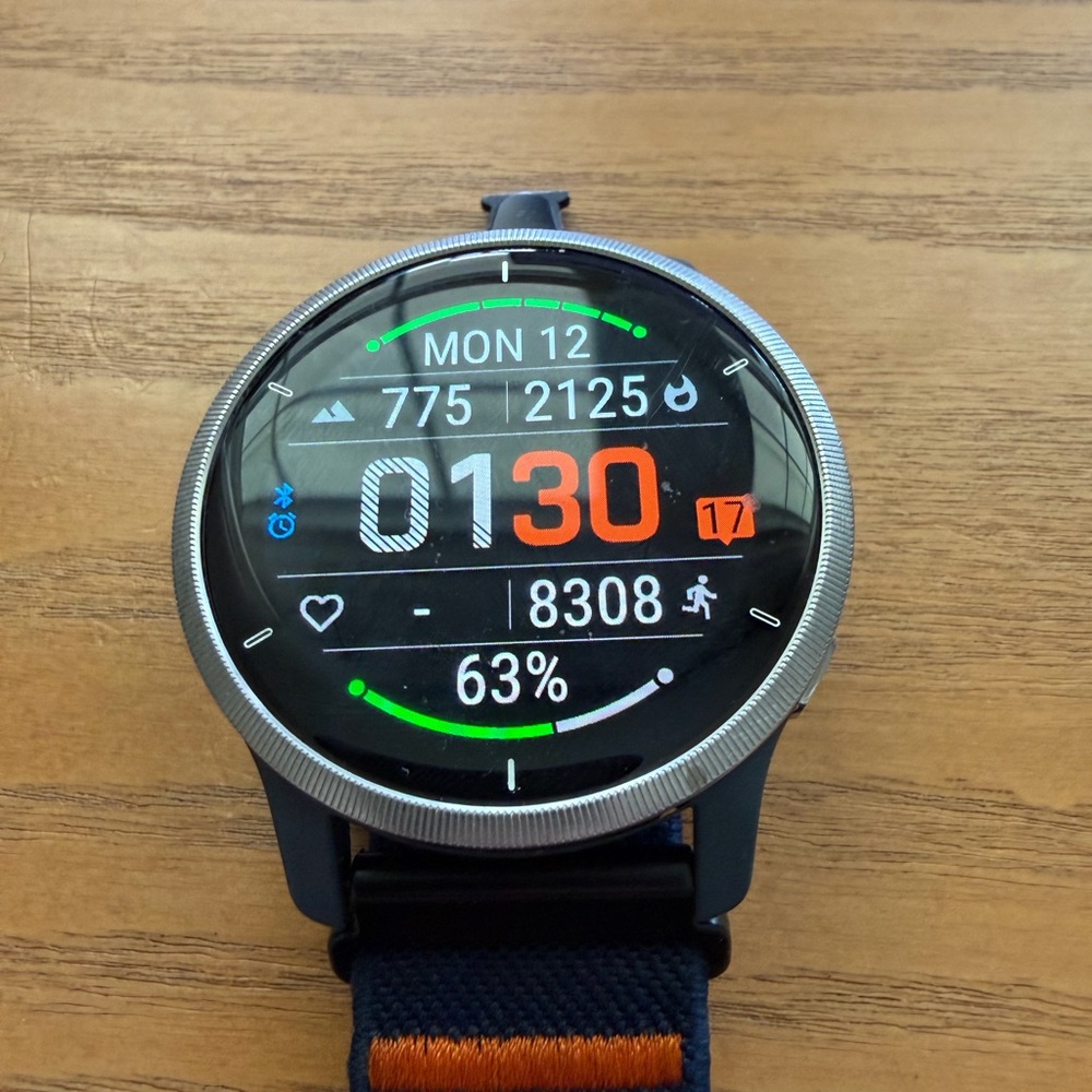 Garmin Venu 2 Music - Picture 3 of 7